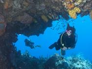 Dominica Scuba Diving Holiday - Caribbean.